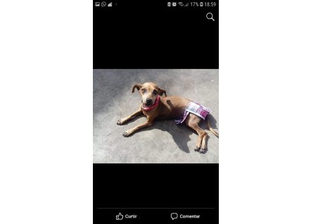 1577975583