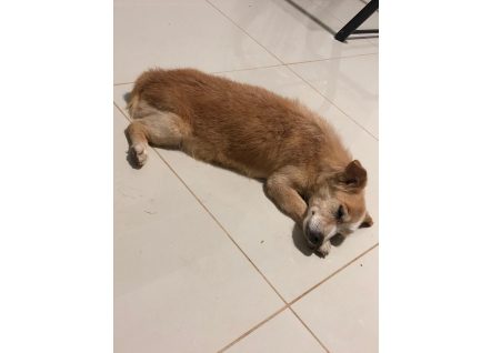 1602814484