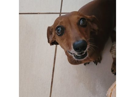 1711566100