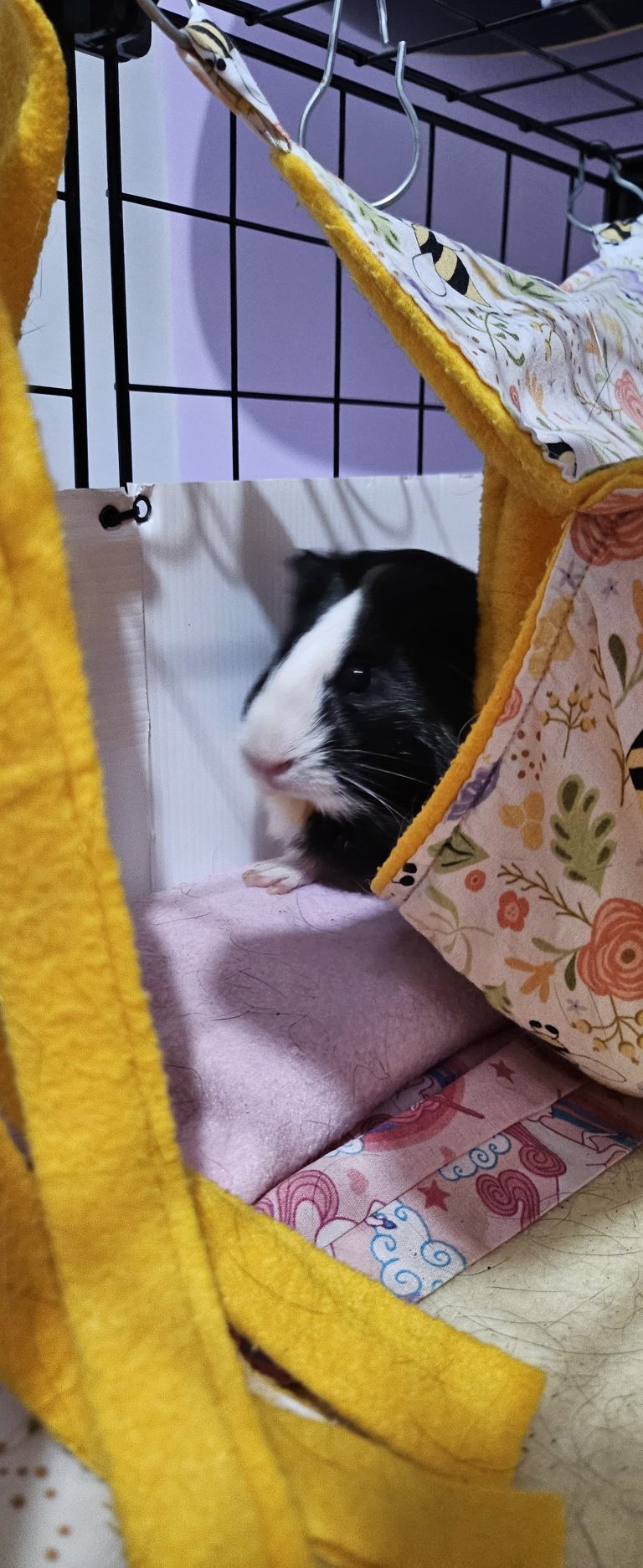 Imagem do WhatsApp de 2025-04-23 à(s) 10.12.40_dd3d493b.jpg