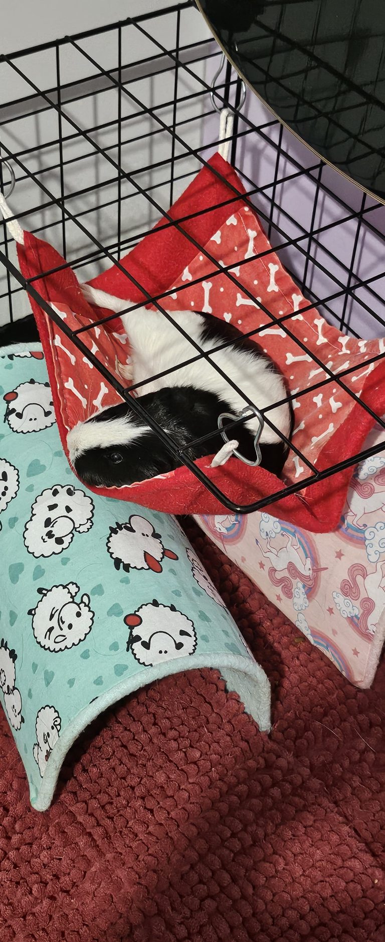 Imagem do WhatsApp de 2025-04-23 à(s) 10.12.41_08a25224.jpg