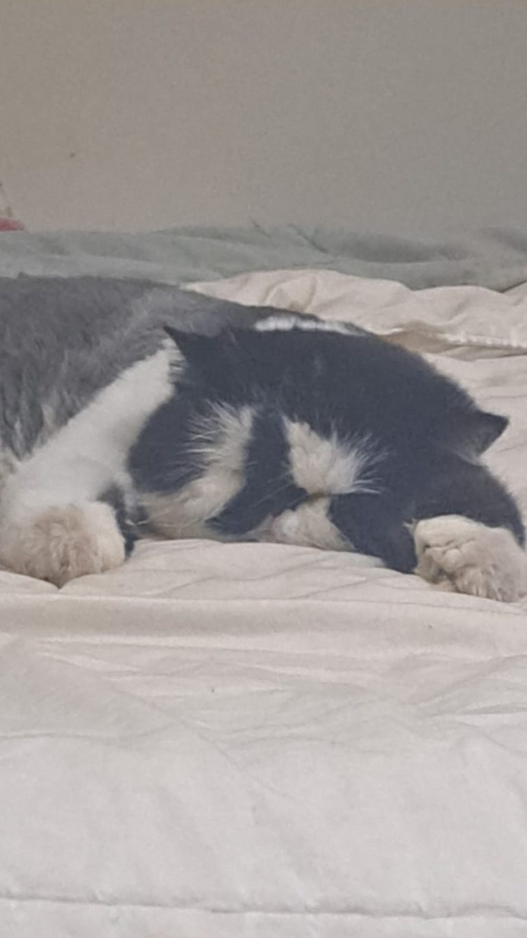 WhatsApp Image 2025-05-06 at 21.08.36 (1).jpeg