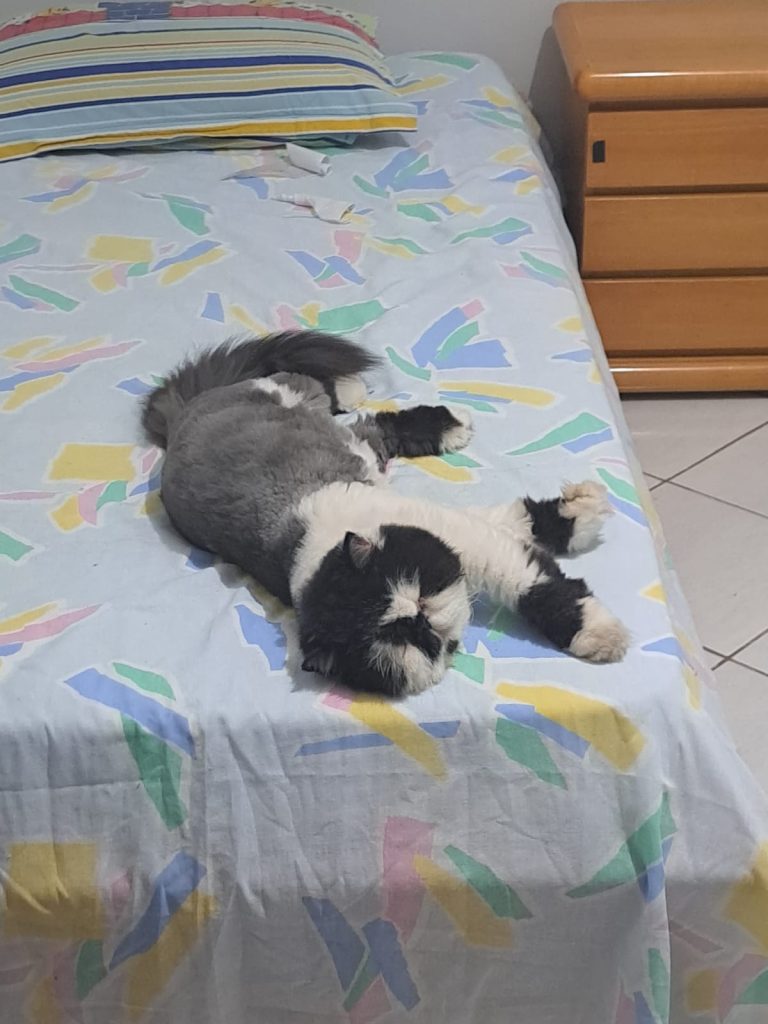 WhatsApp Image 2025-05-06 at 21.08.36.jpeg