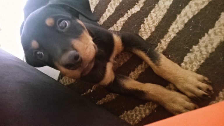 Imagem do WhatsApp de 2025-06-03 à(s) 17.47.45_cf1c7e22.jpg