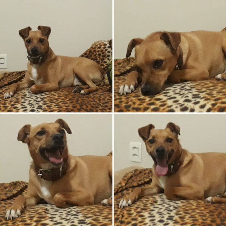 WhatsApp Image 2025-07-07 at 10.55.24 (1).jpeg