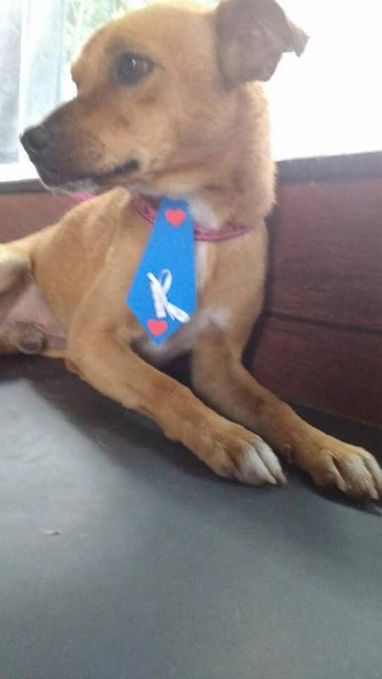 WhatsApp Image 2025-07-07 at 10.55.24 (2).jpeg