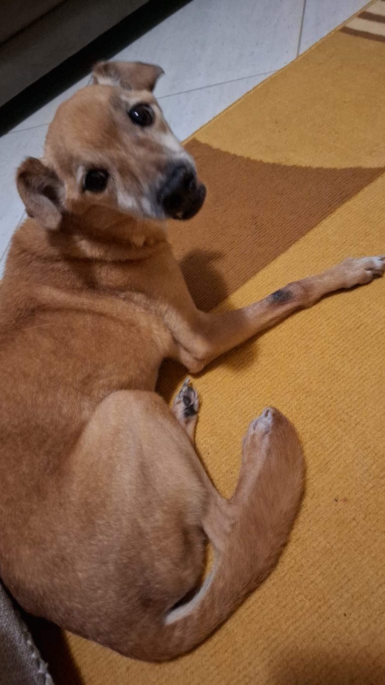 WhatsApp Image 2025-07-07 at 10.55.24.jpeg