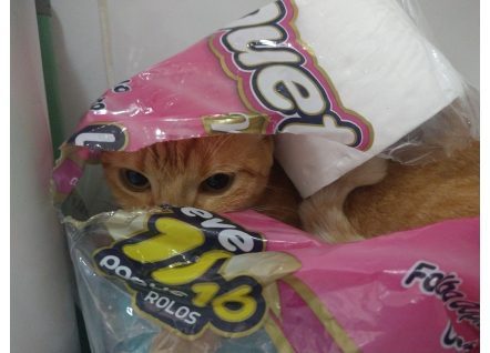 caramelo 6-convertido-de-webp.jpeg