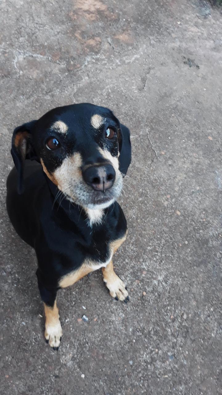 Imagem do WhatsApp de 2025-10-03 à(s) 09.12.14_e4c3e052.jpg