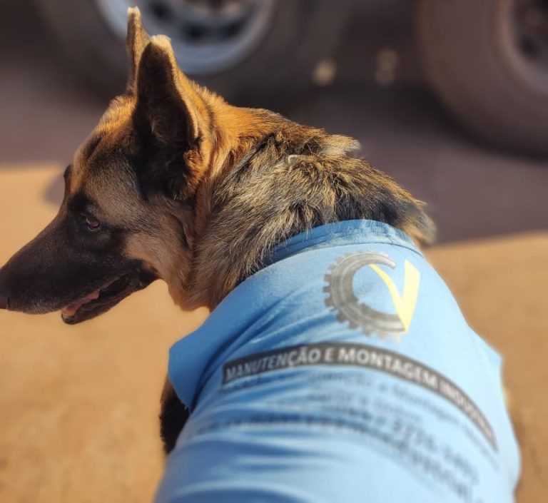 WhatsApp Image 2026-01-13 at 10.29.23.jpeg