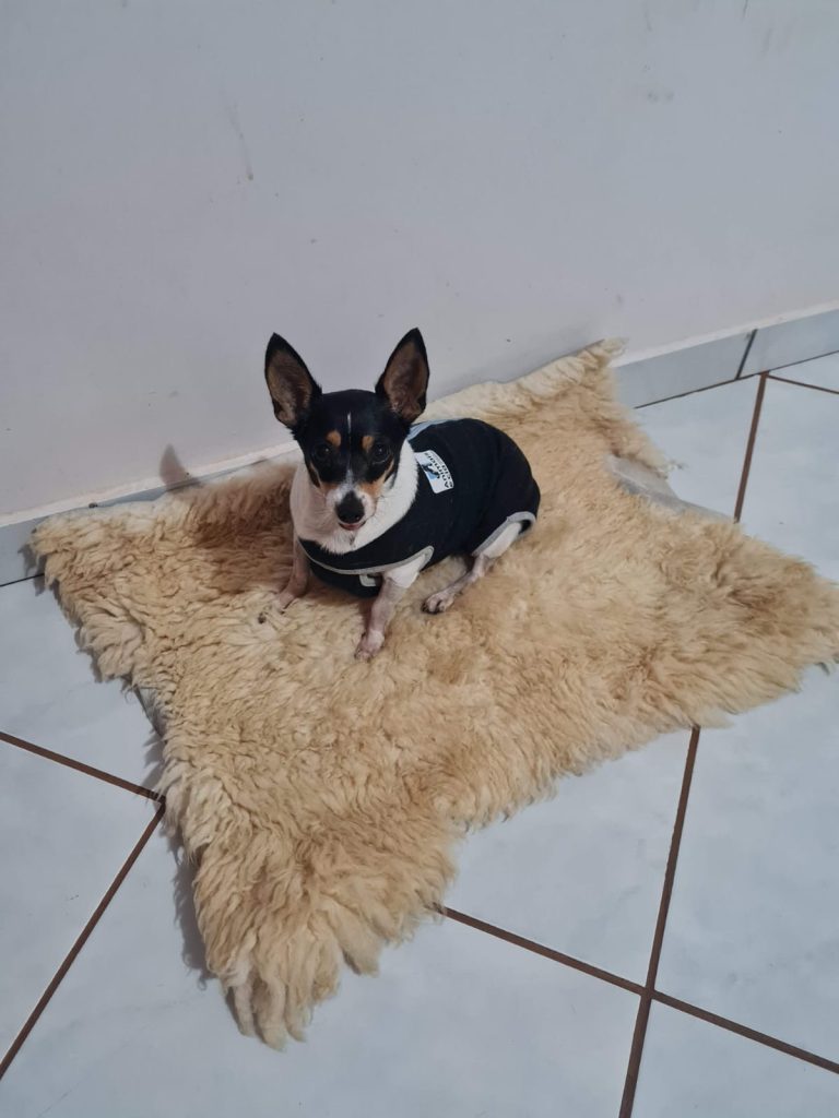 WhatsApp Image 2026-02-12 at 10.05.54.jpeg