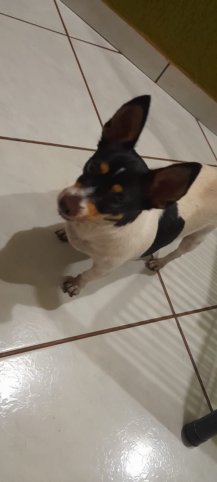 WhatsApp Image 2026-02-12 at 10.08.38.jpeg