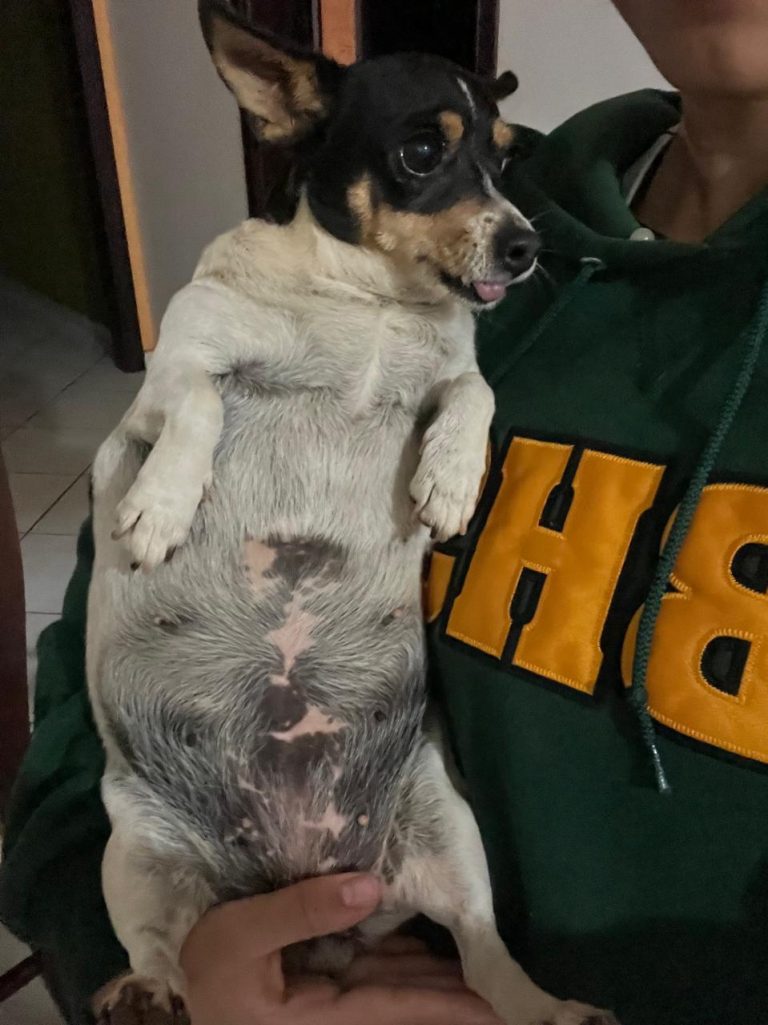 WhatsApp Image 2026-02-12 at 10.19.00.jpeg