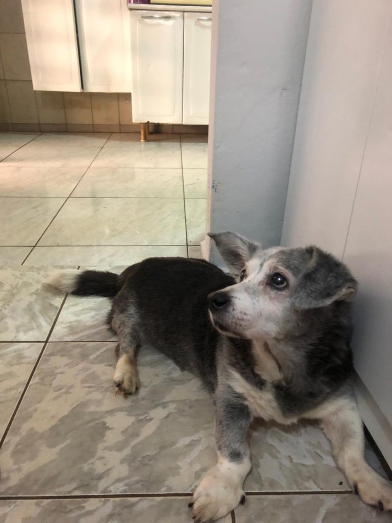 WhatsApp Image 2026-03-08 at 15.41.51.jpeg