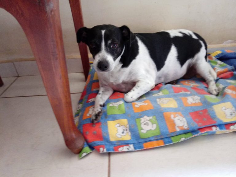 WhatsApp Image 2026-03-17 at 23.45.29.jpeg