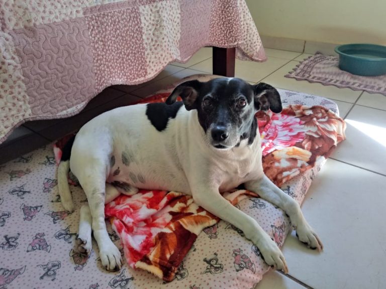 WhatsApp Image 2026-03-17 at 23.52.00.jpeg