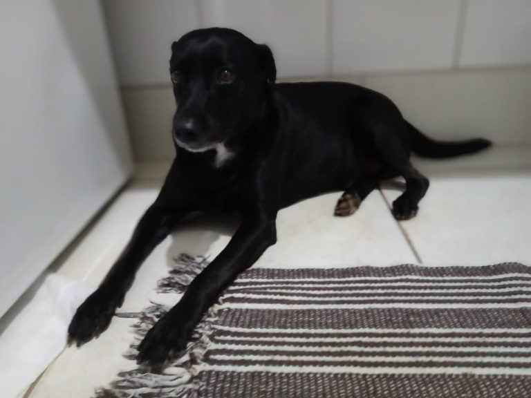 WhatsApp Image 2026-03-17 at 23.54.28.jpeg