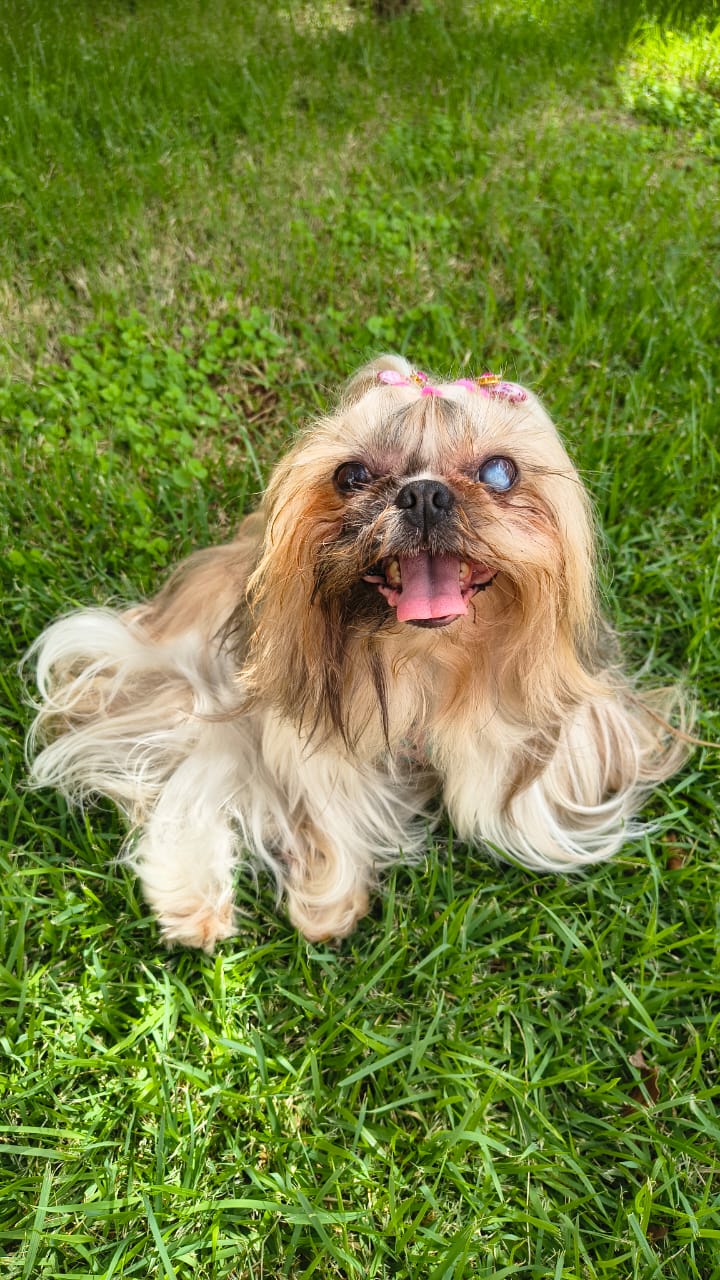 WhatsApp Image 2026-04-11 at 18.27.24 (1).jpeg