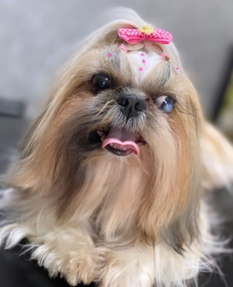 WhatsApp Image 2026-04-11 at 18.27.24.jpeg