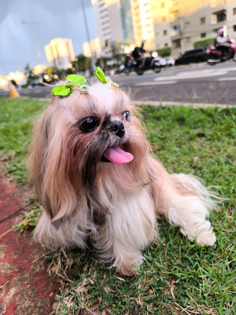 WhatsApp Image 2026-04-11 at 18.27.24 (2).jpeg