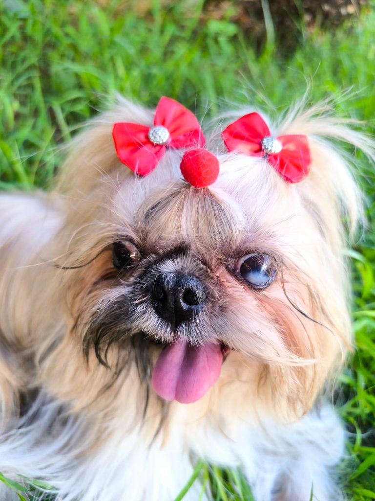 WhatsApp Image 2026-04-11 at 18.27.24 (3).jpeg