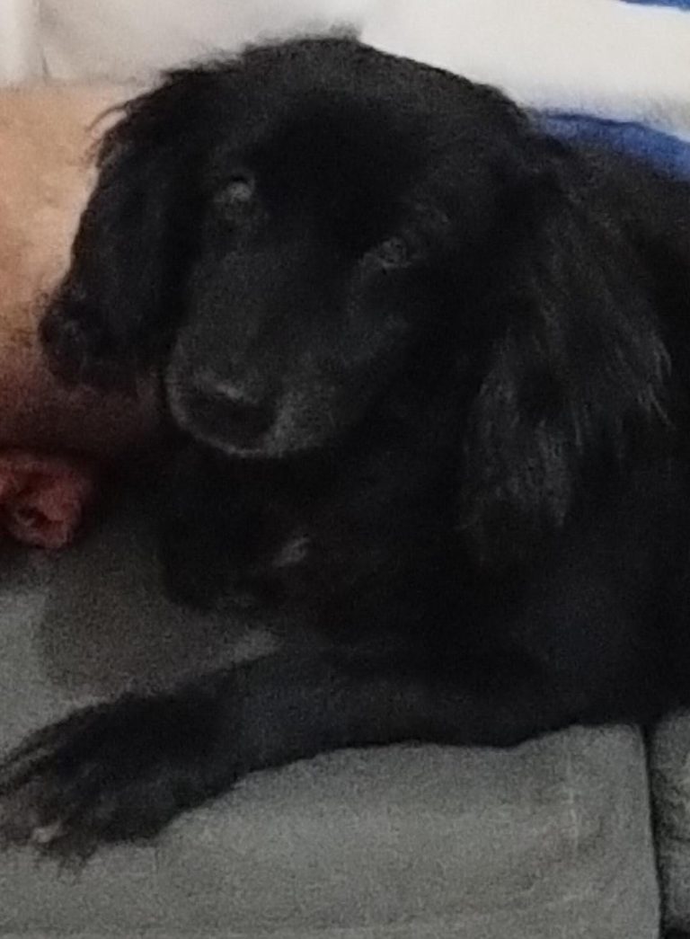 WhatsApp Image 2026-04-18 at 21.55.52.jpeg