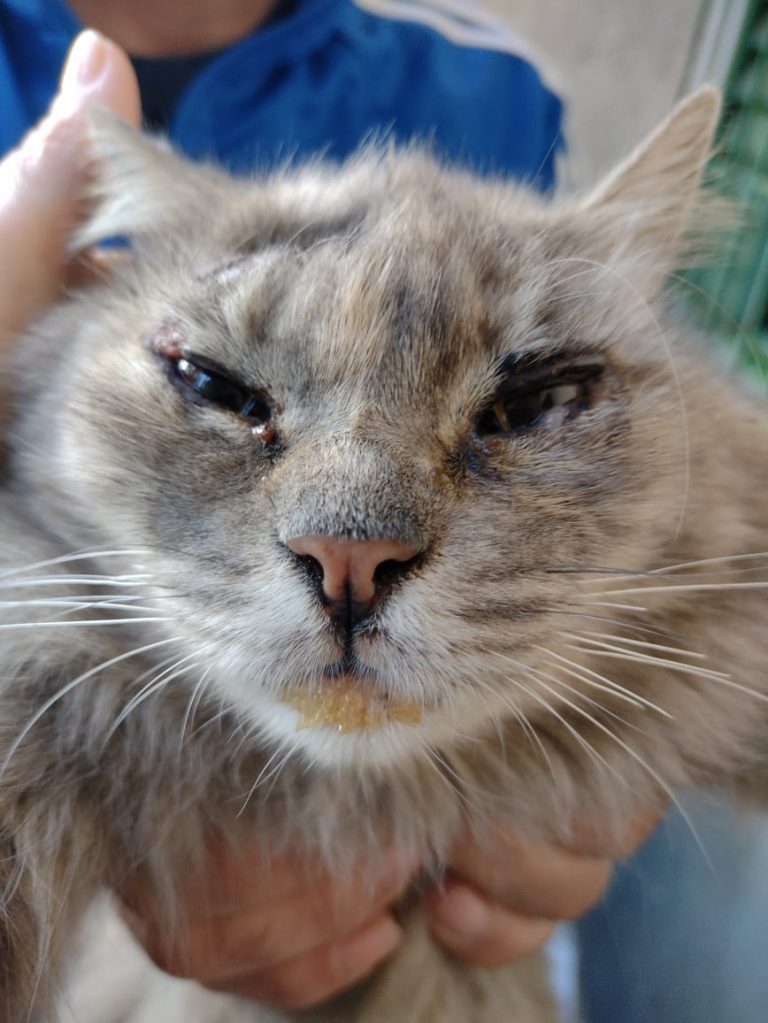 WhatsApp Image 2026-04-18 at 22.00.20.jpeg