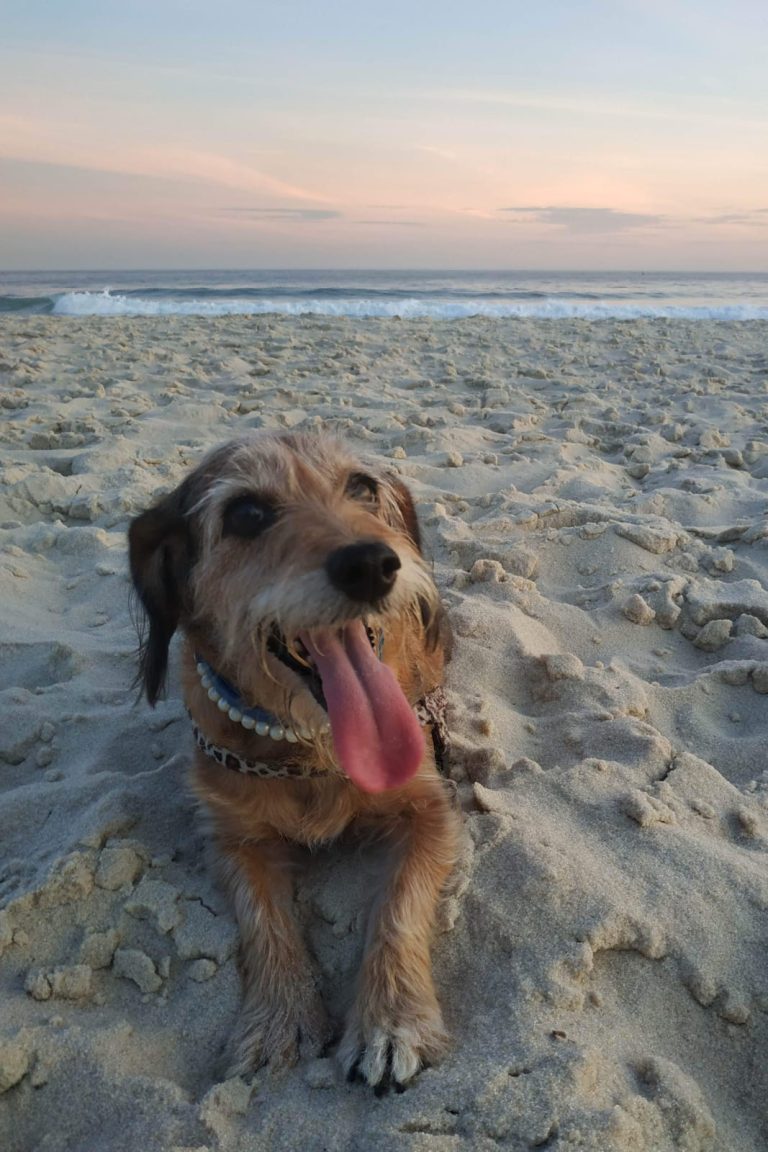 WhatsApp Image 2026-04-29 at 16.25.14.jpeg