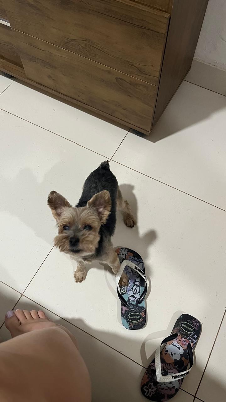 IMG_6962.jpeg