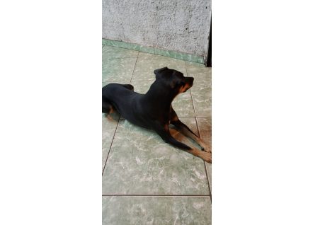 1604612974