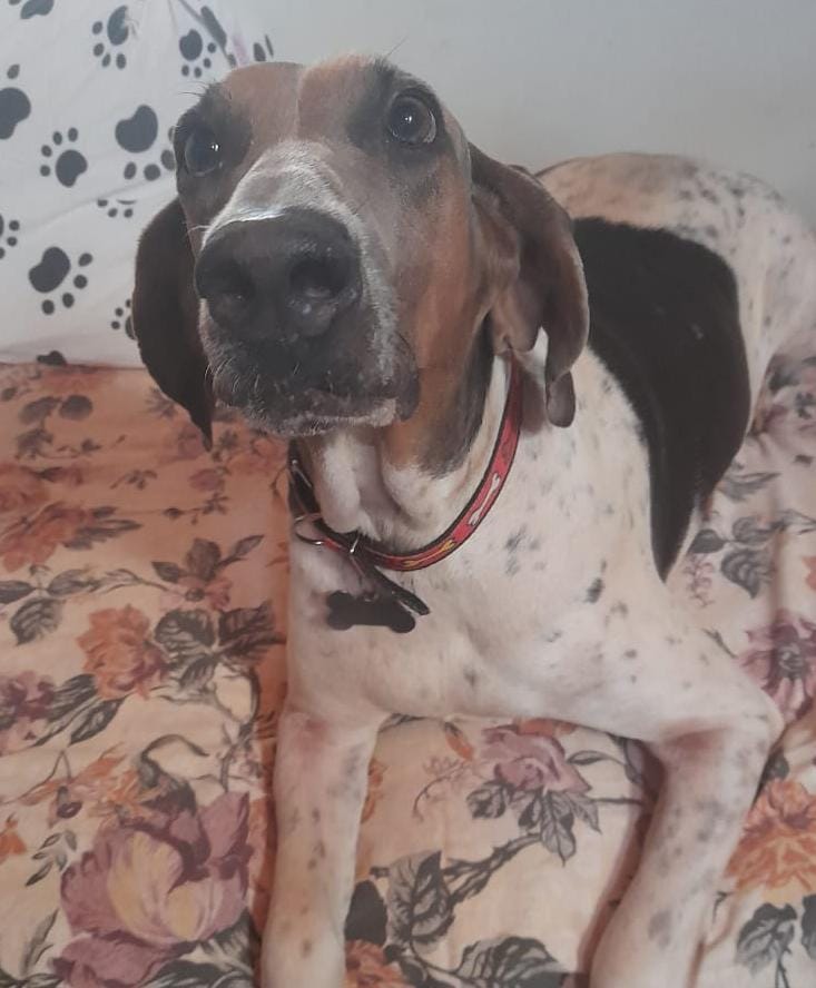 WhatsApp Image 2024-11-20 at 19.48.03.jpeg