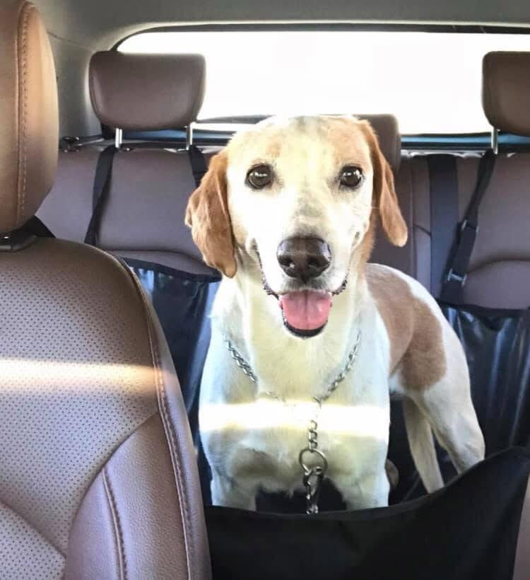 WhatsApp Image 2025-02-27 at 20.00.05 (14).jpeg