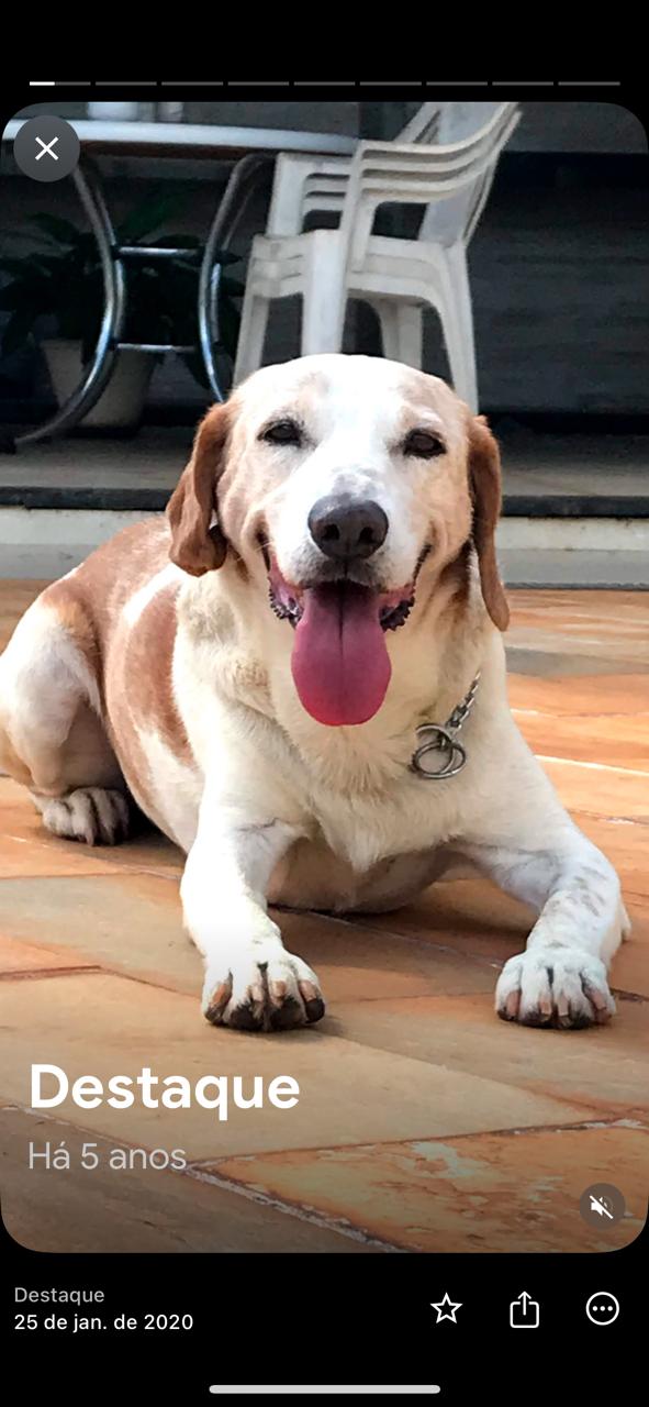 WhatsApp Image 2025-02-27 at 20.02.09.jpeg