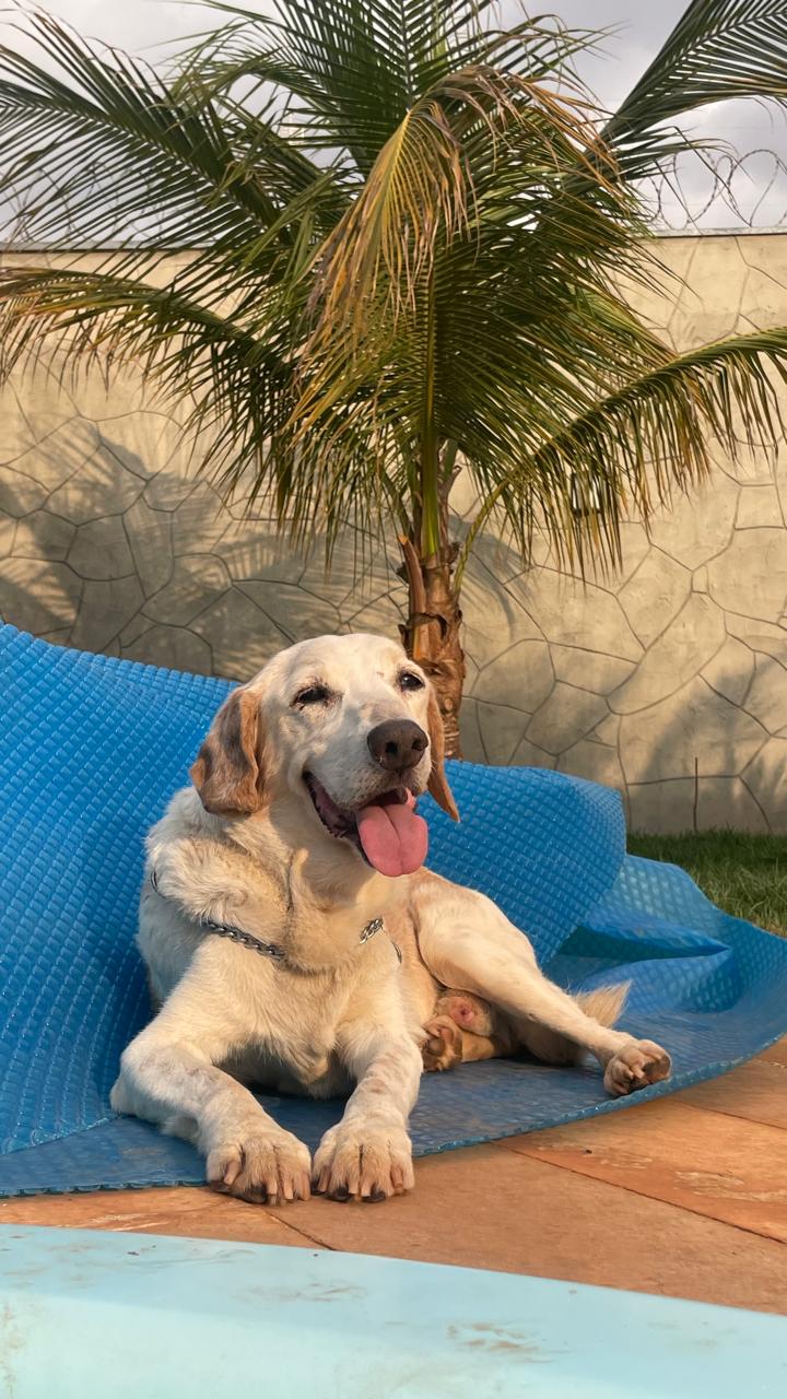 WhatsApp Image 2025-02-27 at 20.07.35 (31).jpeg