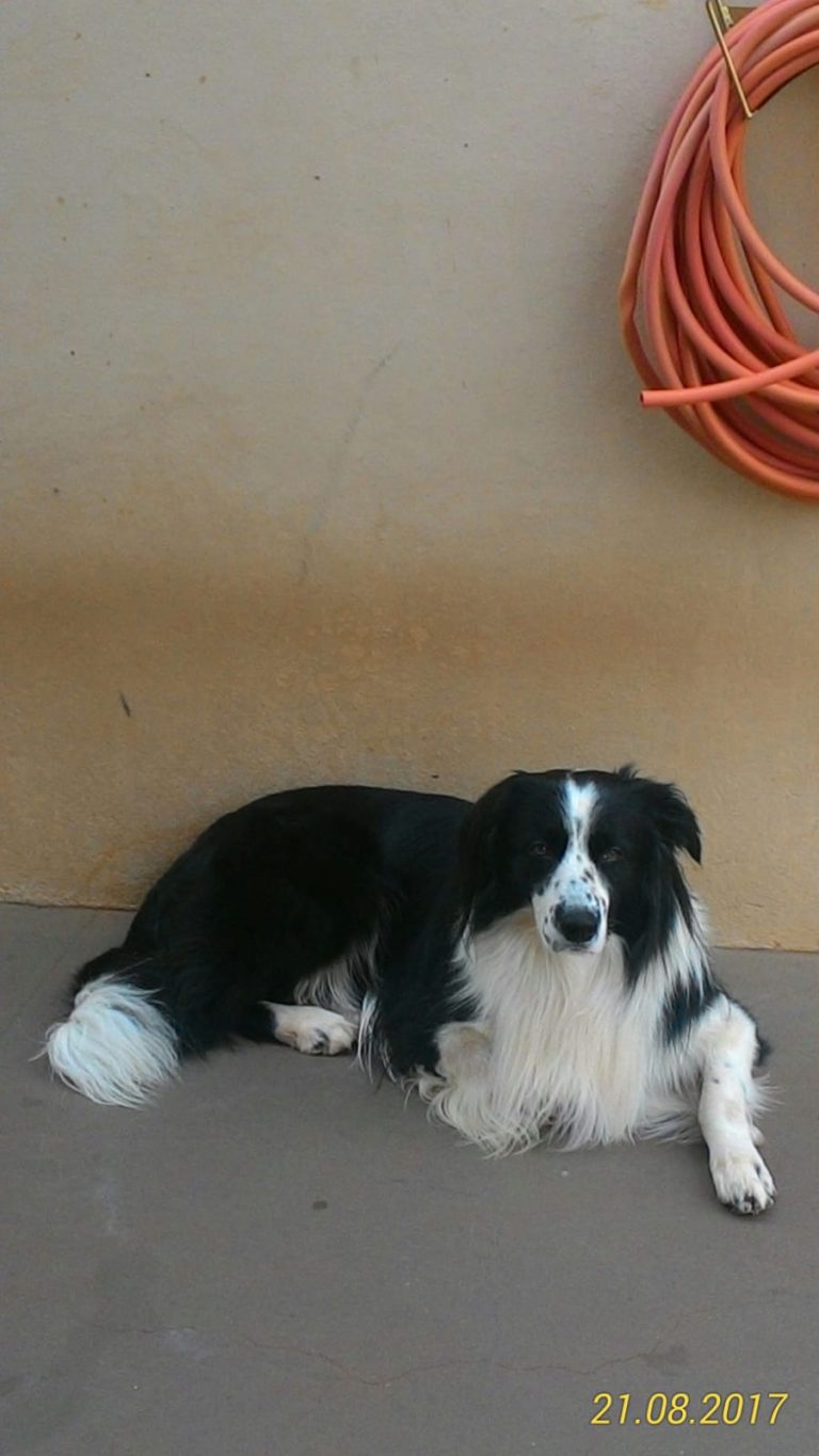 WhatsApp Image 2025-03-20 at 12.21.48.jpeg