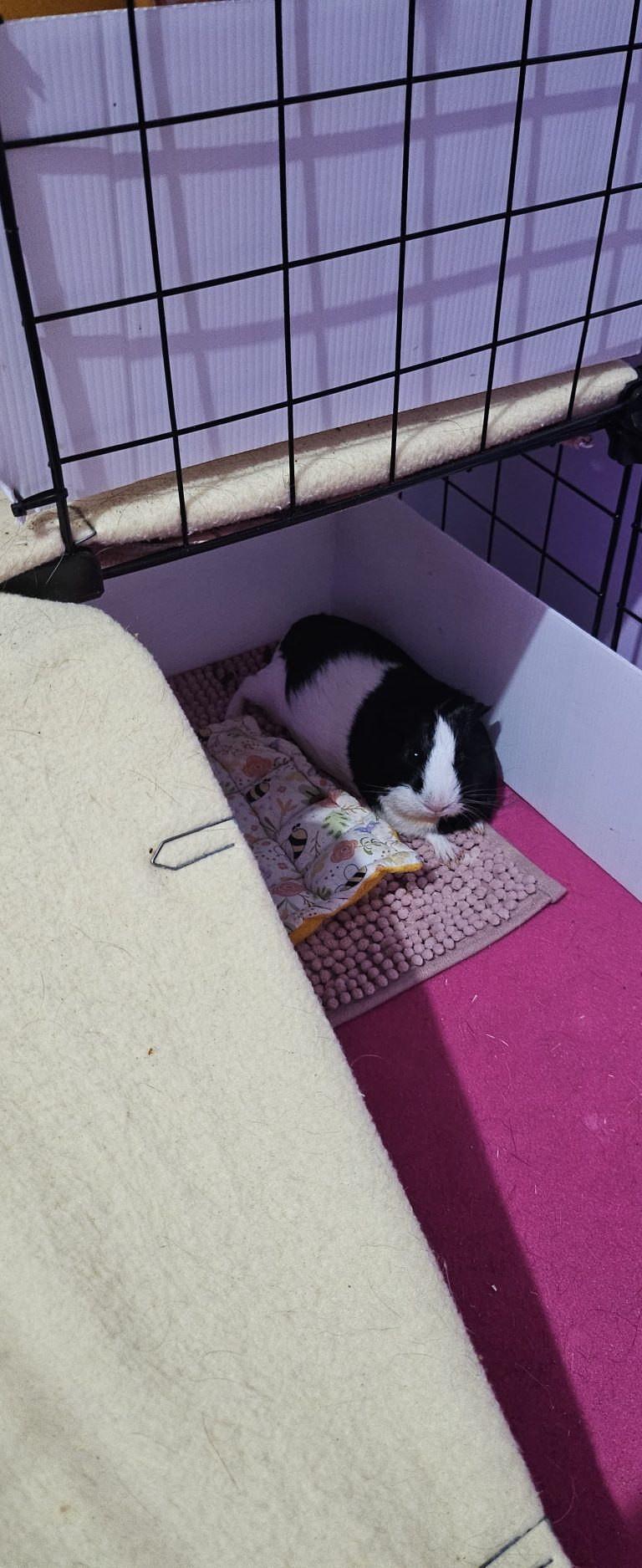 Imagem do WhatsApp de 2025-04-23 à(s) 10.12.40_71468599.jpg