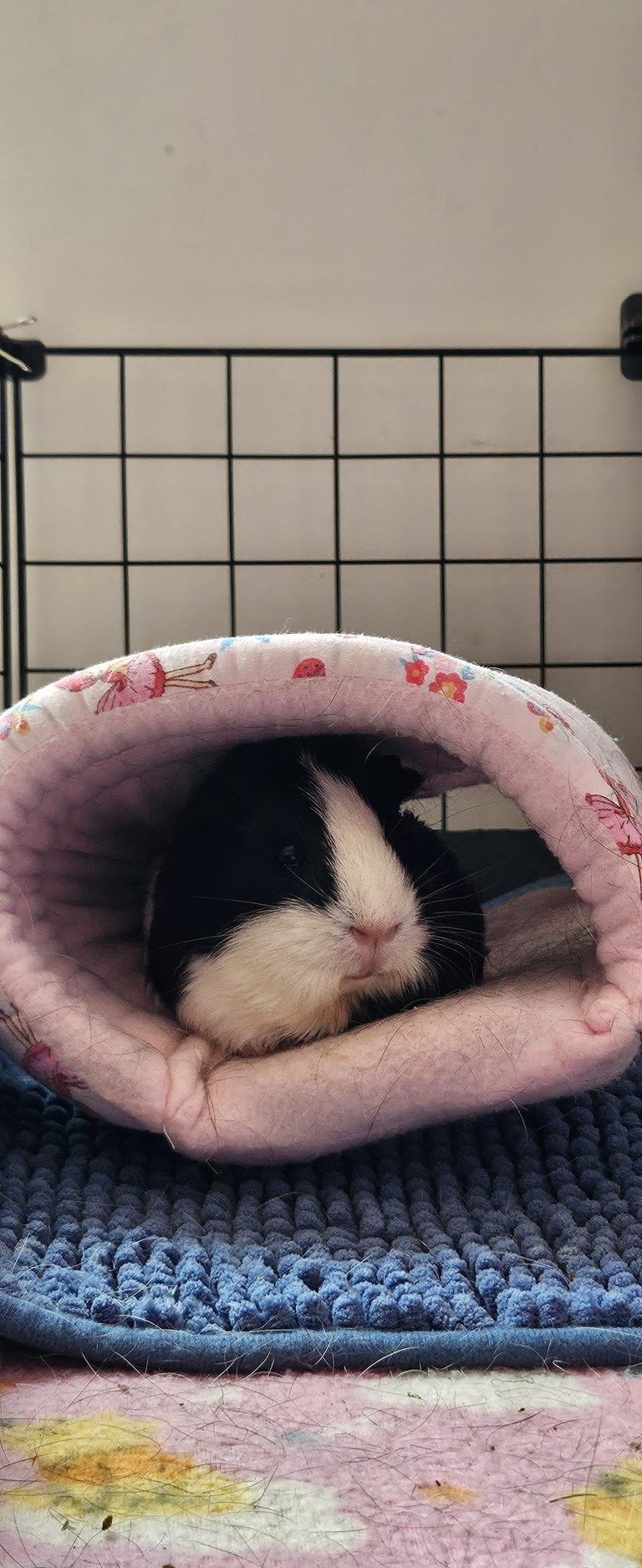 Imagem do WhatsApp de 2025-04-23 à(s) 10.12.41_3cf3505e.jpg