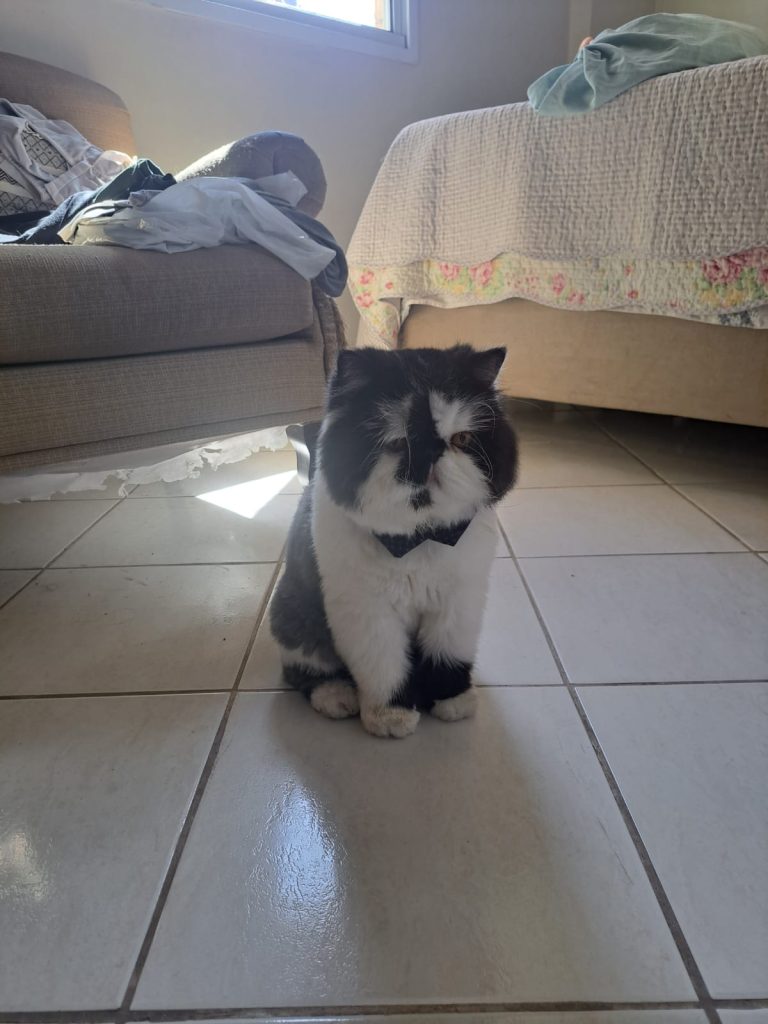 WhatsApp Image 2025-05-06 at 21.08.35.jpeg