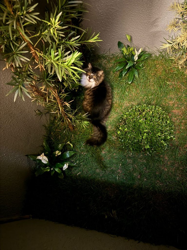 WhatsApp Image 2025-09-25 at 14.38.14.jpeg