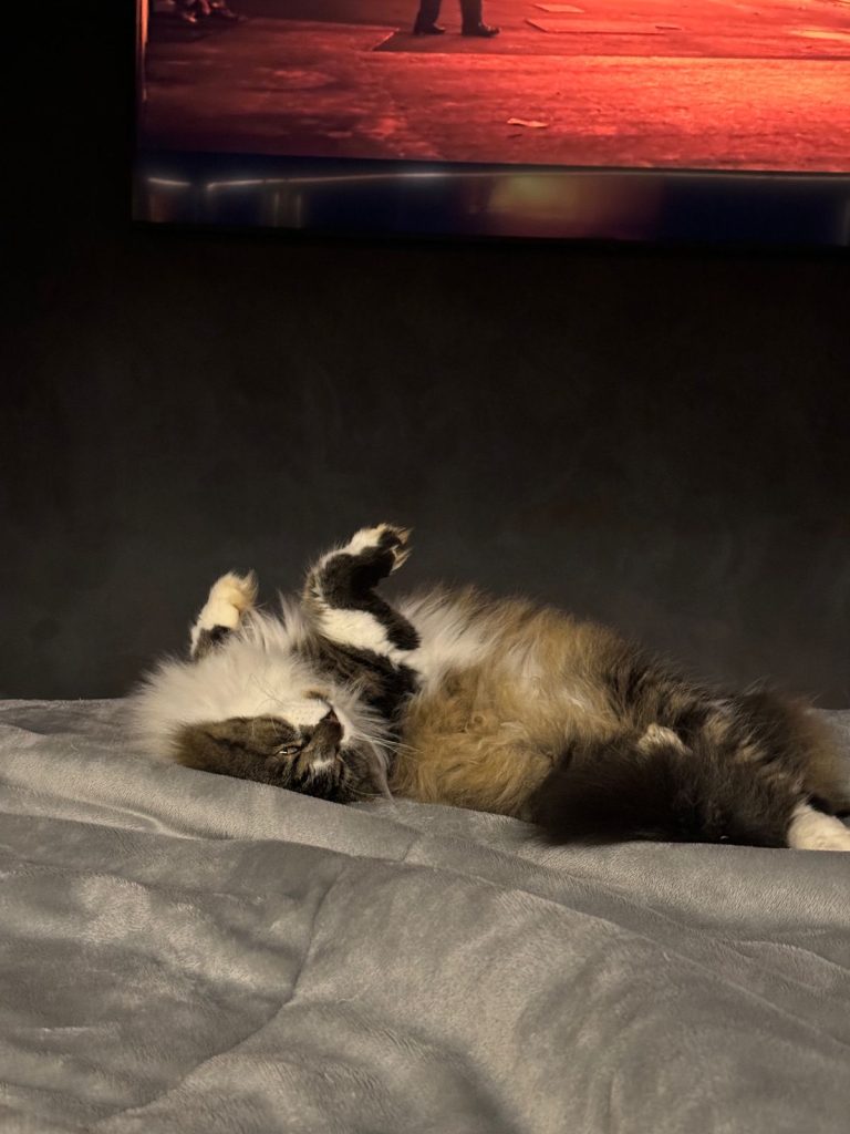 WhatsApp Image 2025-09-25 at 14.38.28.jpeg