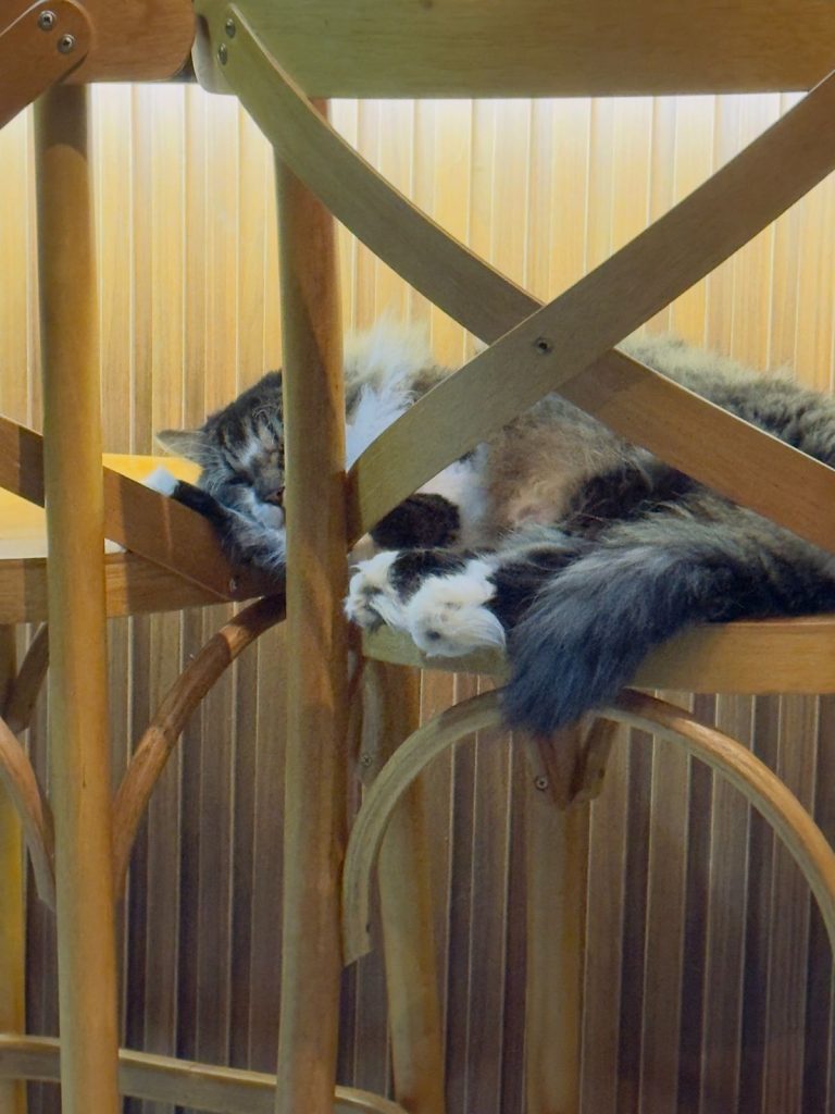 WhatsApp Image 2025-09-25 at 14.38.32 (1).jpeg