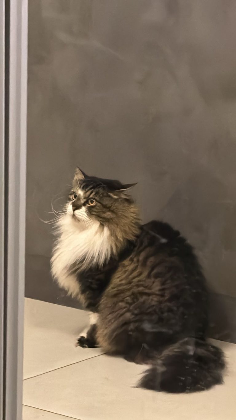 WhatsApp Image 2025-09-25 at 14.38.32.jpeg