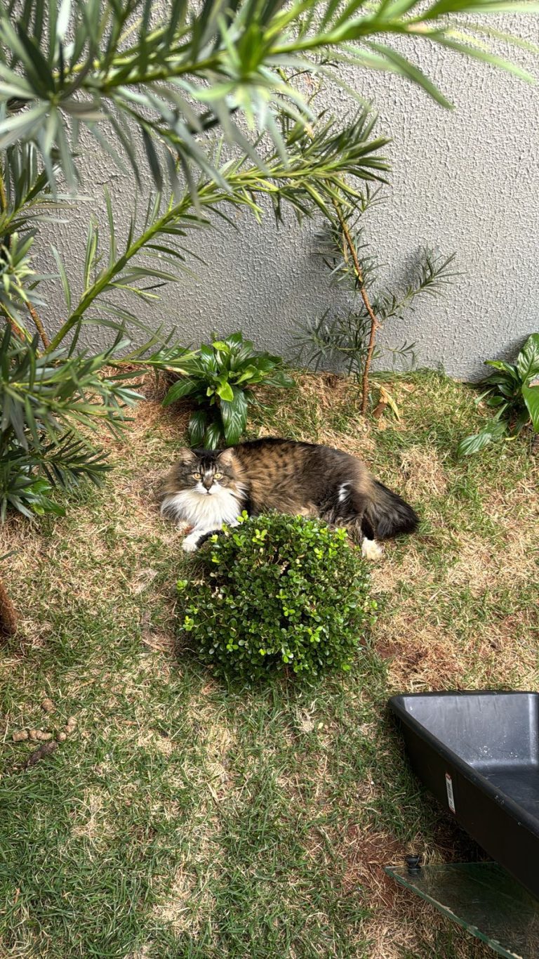 WhatsApp Image 2025-09-25 at 14.38.35.jpeg