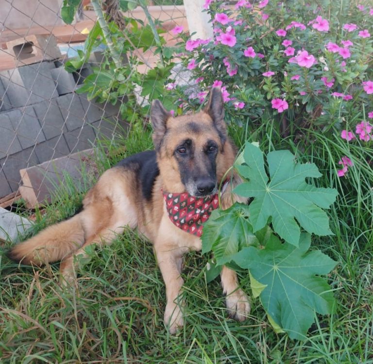 WhatsApp Image 2026-01-14 at 08.06.20.jpeg