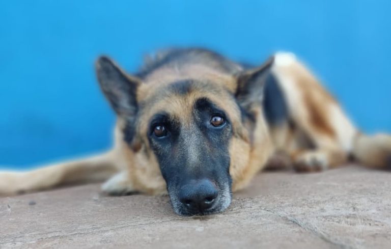 WhatsApp Image 2026-01-14 at 08.24.06.jpeg