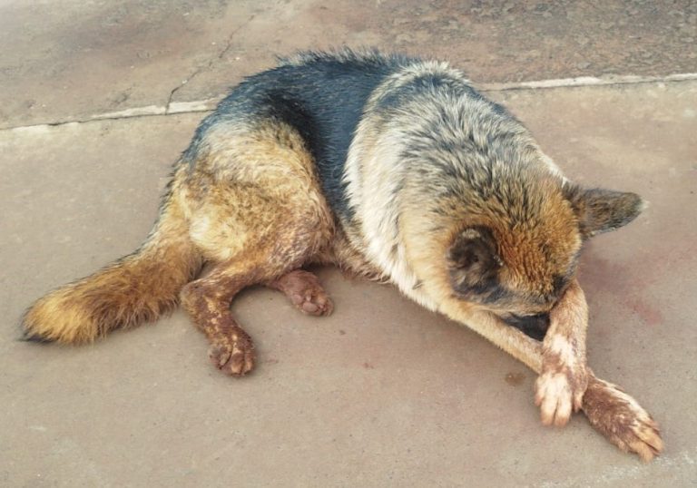 WhatsApp Image 2026-01-14 at 08.26.02.jpeg