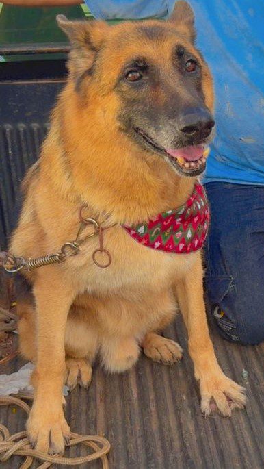 WhatsApp Image 2026-01-14 at 08.27.06.jpeg