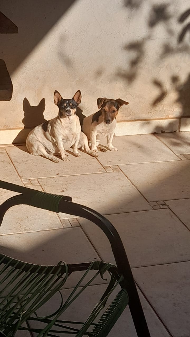 WhatsApp Image 2026-02-12 at 10.06.58.jpeg