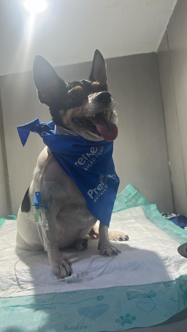 WhatsApp Image 2026-02-12 at 10.11.51.jpeg