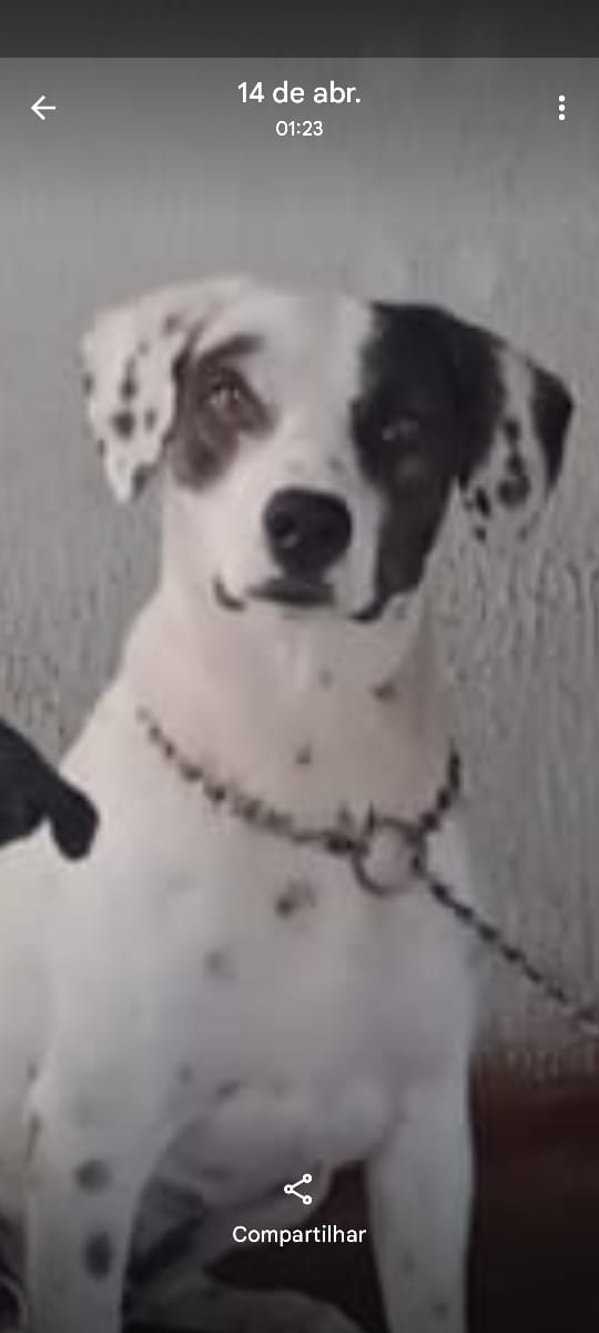 WhatsApp Image 2026-04-13 at 22.24.03.jpeg